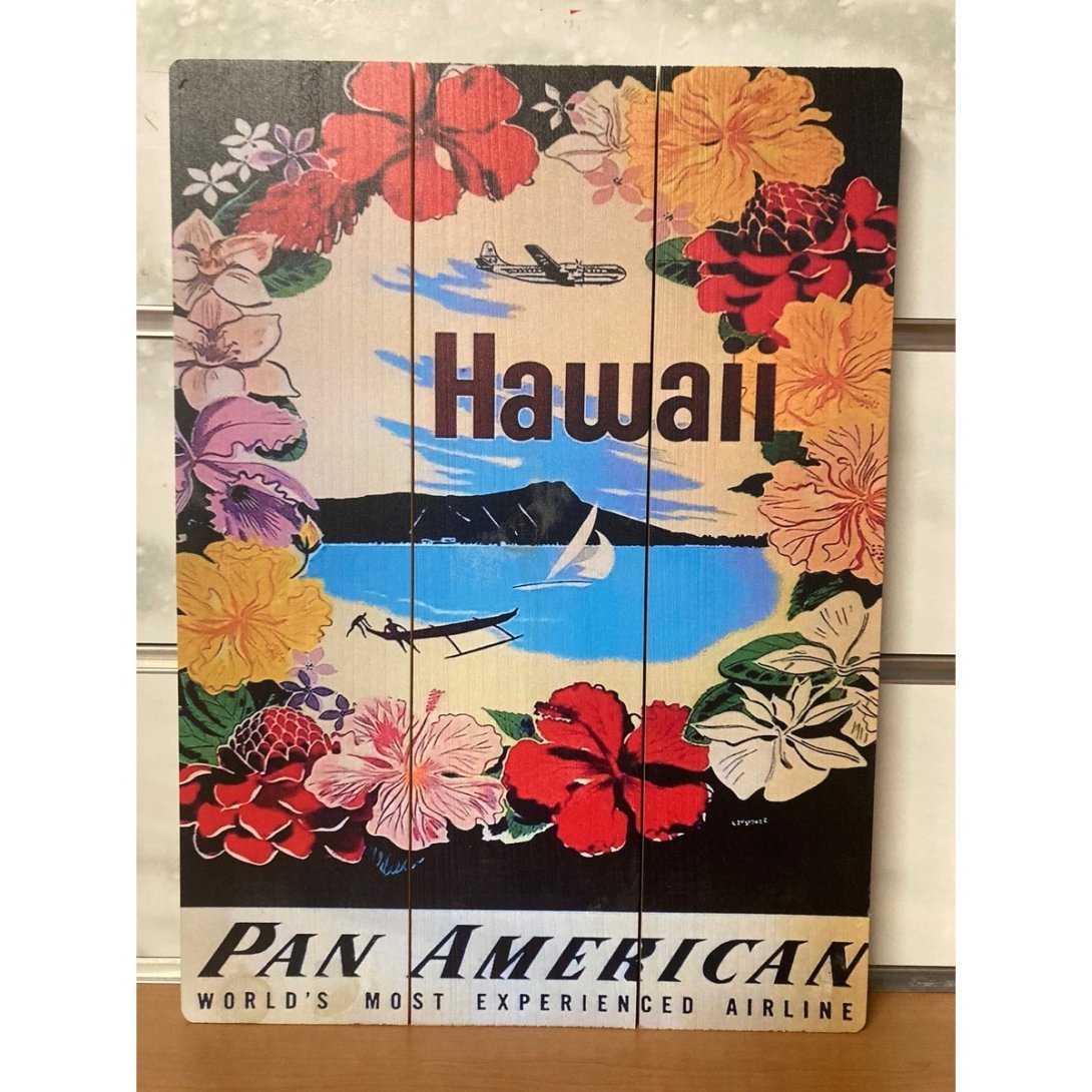 QUADRO SURF HAWAII 40 X 30 CM