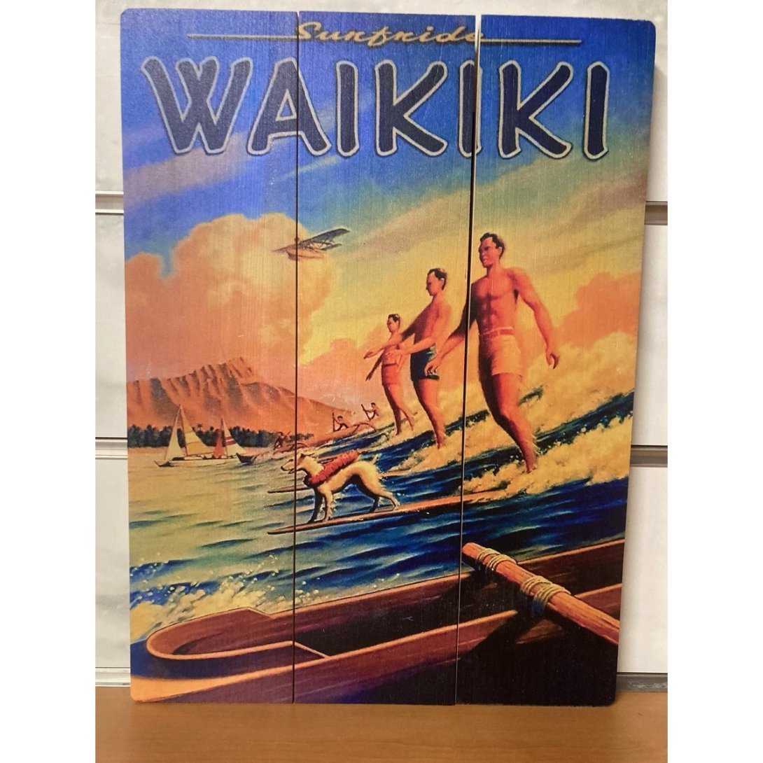 QUADRO SURF HAWAII 40 X 30 CM