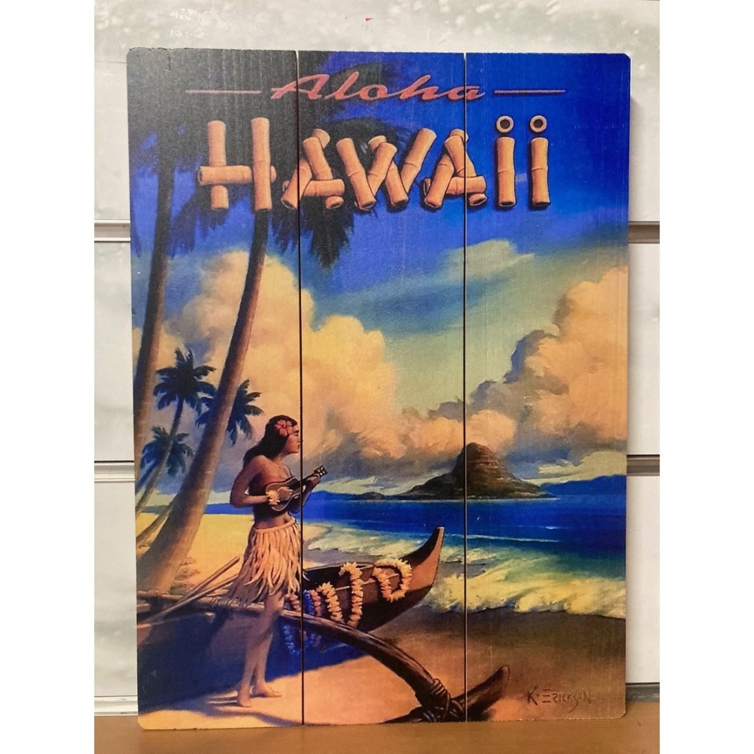 QUADRO SURF HAWAII 40 X 30 CM