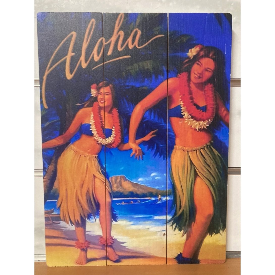 QUADRO SURF HAWAII 40 X 30 CM