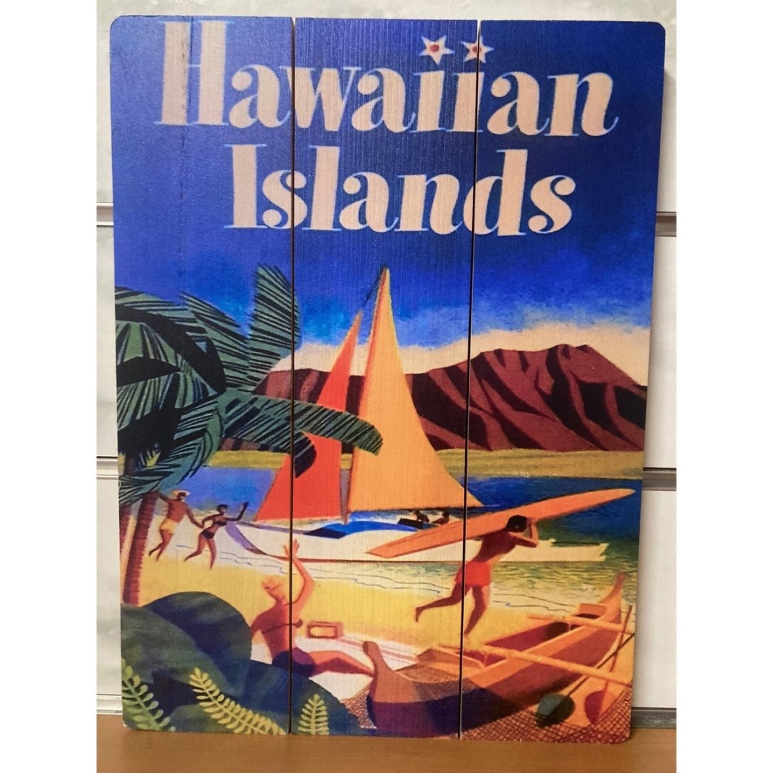 QUADRO SURF HAWAII 40 X 30 CM