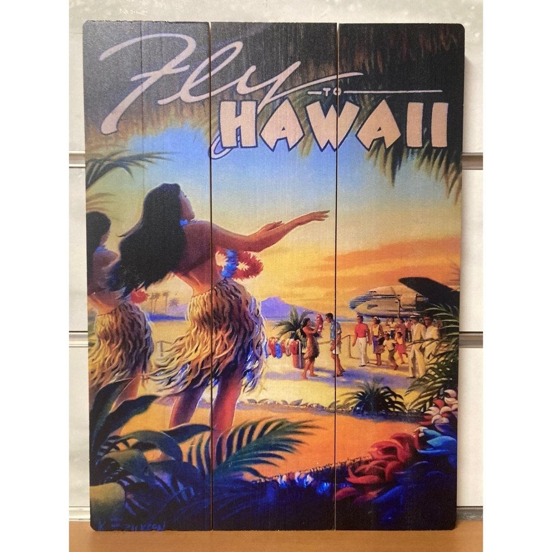 QUADRO SURF HAWAII 40 X 30 CM