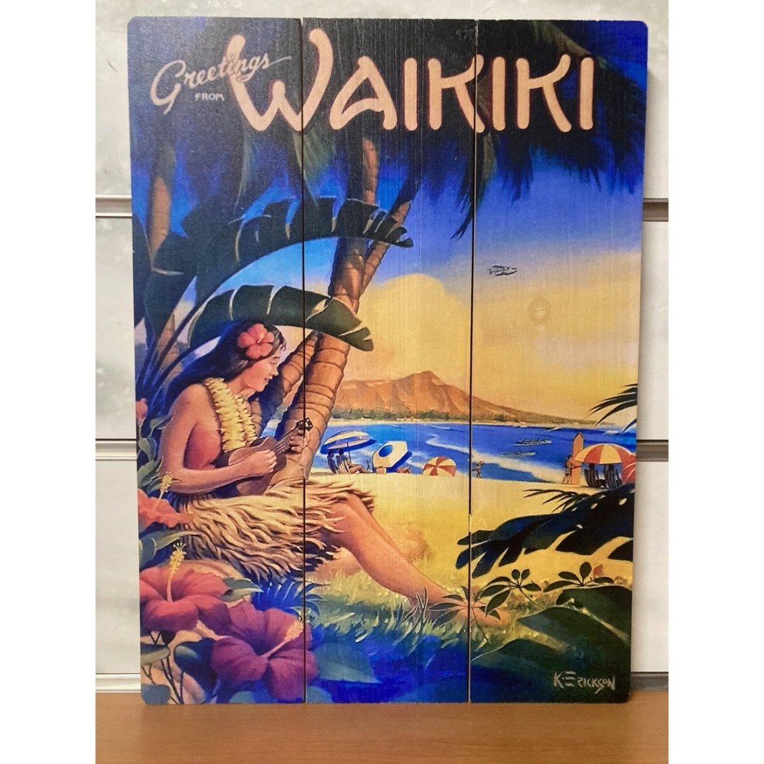 QUADRO SURF HAWAII 40 X 30 CM