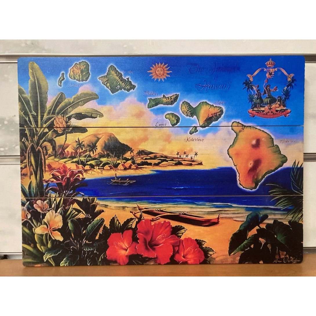 QUADRO SURF HAWAII 40 X 30 CM