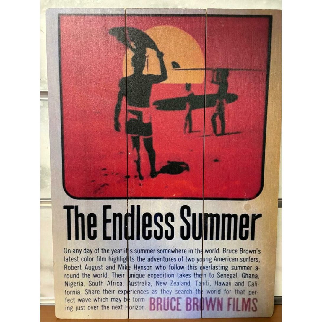 QUADRO SURF HAWAII 40 X 30 CM