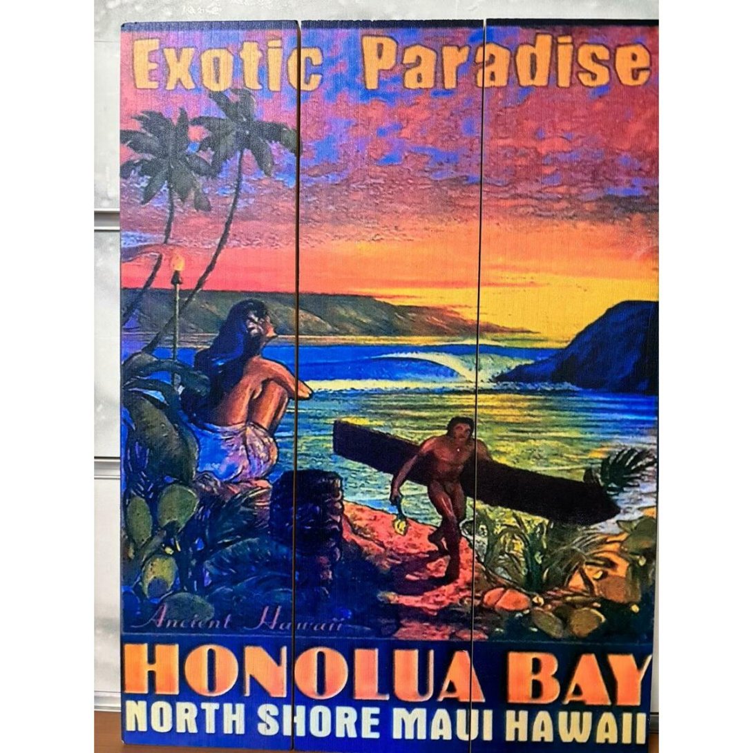 QUADRO SURF HAWAII 40 X 30 CM