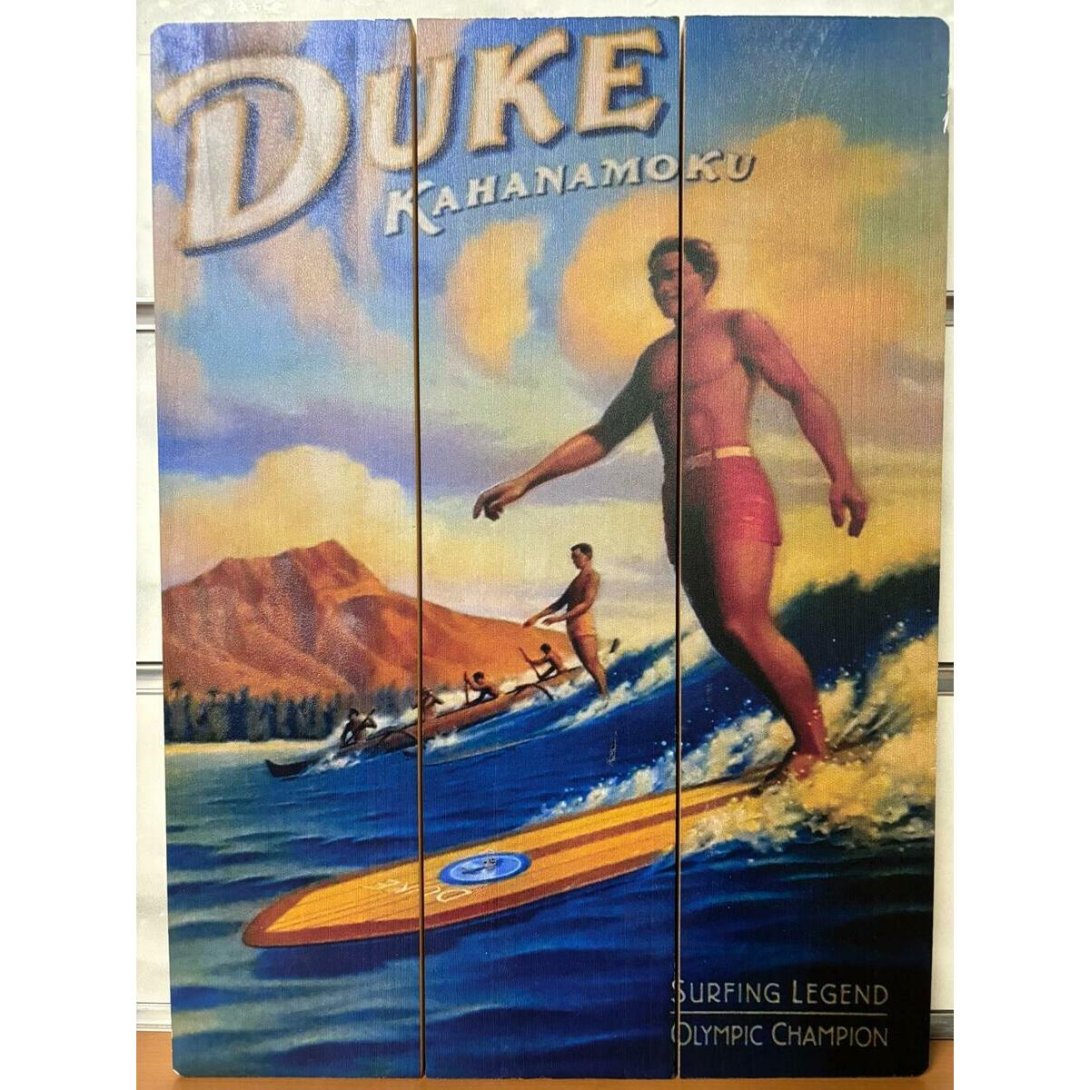 QUADRO SURF HAWAII 40 X 30 CM